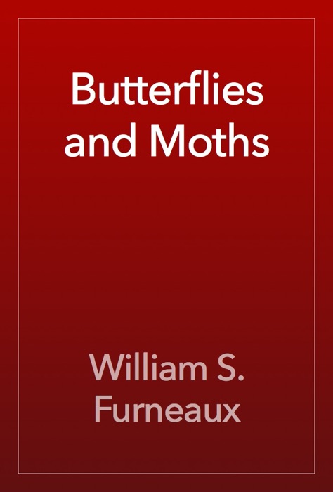 Butterflies and Moths