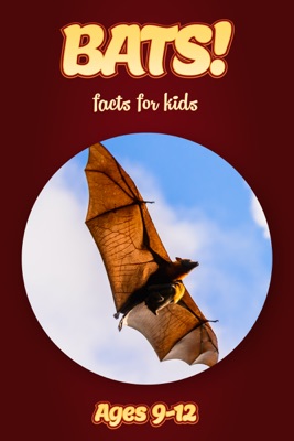 Bat Facts For Kids 9-12