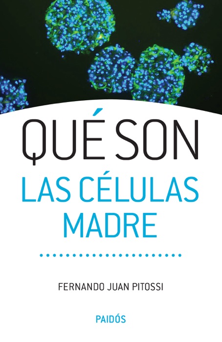 Qué son las células madre