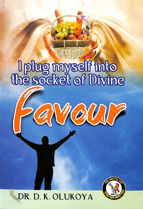 I Plug Myself into The Socket of Divine Favour