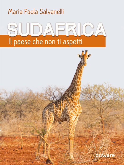 Sudafrica, il paese che non ti aspetti