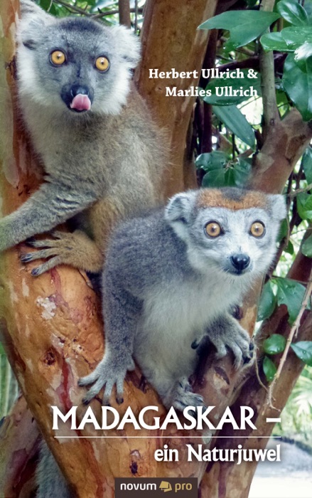 Madagaskar  -  ein Naturjuwel