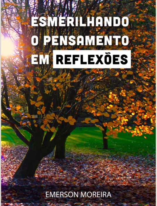 ESMERILHANDO O PENSAMENTO EM REFLEXÕES