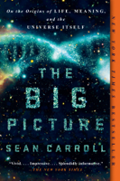 Sean Carroll - The Big Picture artwork