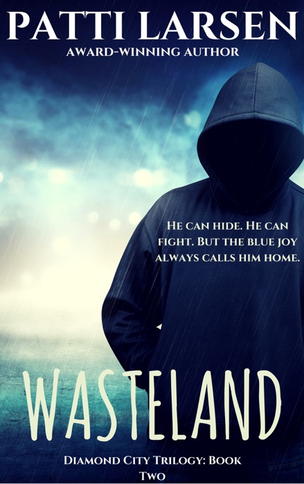 Wasteland (Book Two: The Diamond City Trilogy)