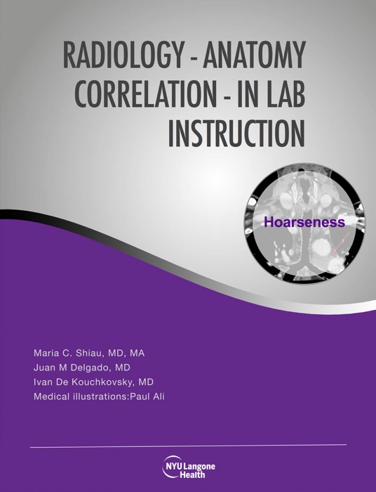 Radiology-Anatomy Correlation: In Lab Instruction