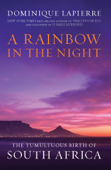 A Rainbow in the Night - Dominique Lapierre