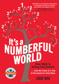 It's a Numberful World - Eddie Woo