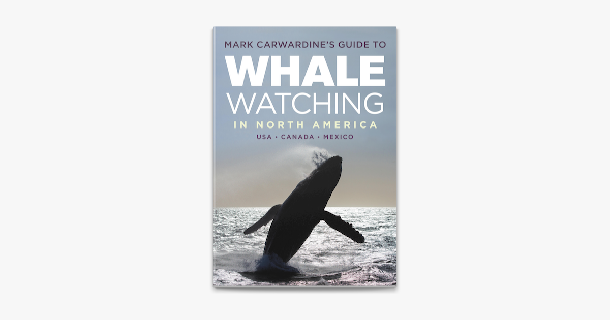 ‎Mark Carwardine's Guide To Whale Watching In North America En Apple Books