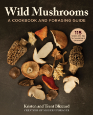 Wild Mushrooms - Kristen Blizzard &amp; Trent Blizzard Cover Art