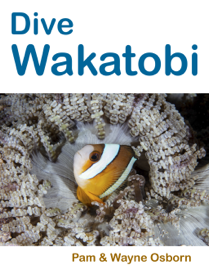Dive Wakatobi