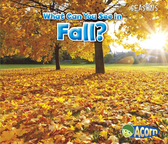 What Can You See in Fall?