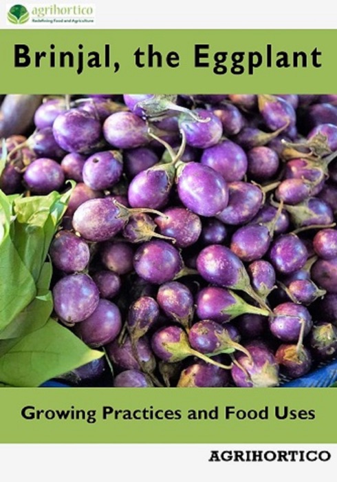 Brinjals: Growing Practices and Food Uses