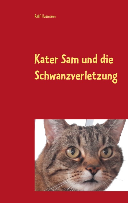 Kater Sam und die Schwanzverletzung