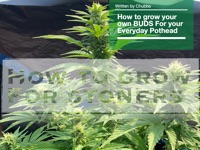 How to Grow