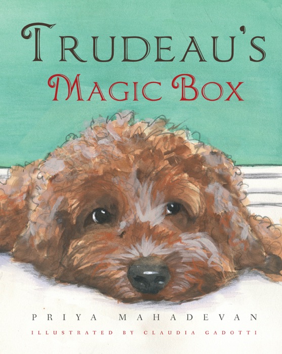 Trudeau’s Magic Box