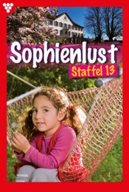 Sophienlust Staffel 13 – Familienroman