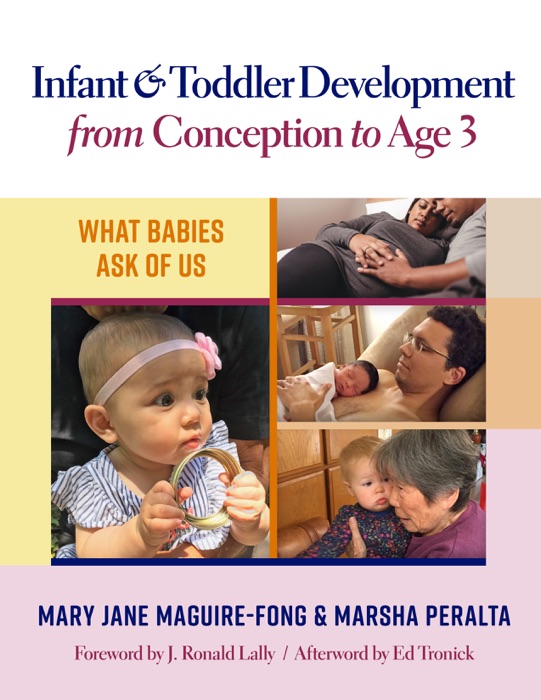 Infant and Toddler Development from Conception to Age 3