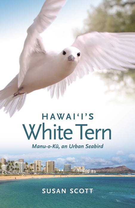 Hawai‘i’s White Tern