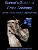 Garner's Guide to Gross Anatomy Volume 1: Back, Shoulder, Upper Extremity - Sarah Garner