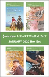 Harlequin Heartwarming January 2020 Box Set - Melinda Curtis, Amy Vastine, Shirley Hailstock & Tanya Agler by  Melinda Curtis, Amy Vastine, Shirley Hailstock & Tanya Agler PDF Download