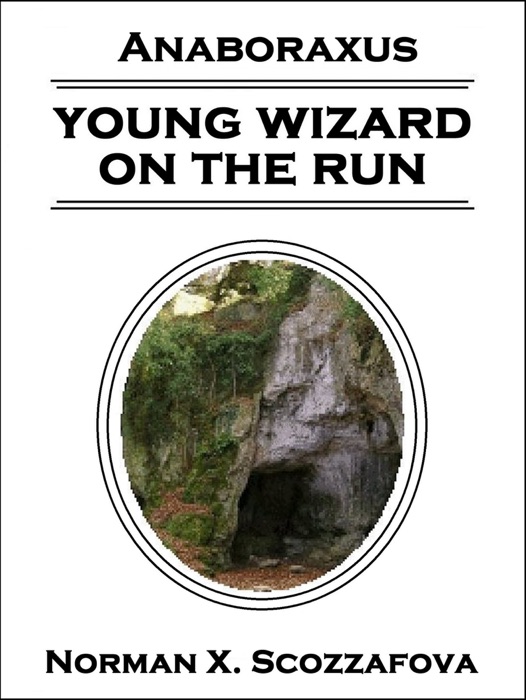 Young Wizard on the Run