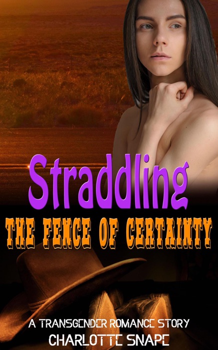 Straddling the Fence of Certainty:  A Transgender Romance Story