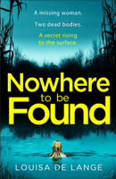 Louisa de Lange - Nowhere to be Found artwork