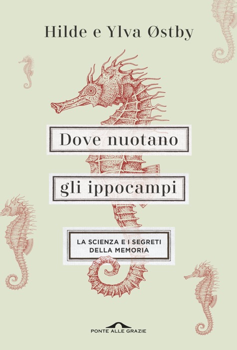 Dove nuotano gli ippocampi