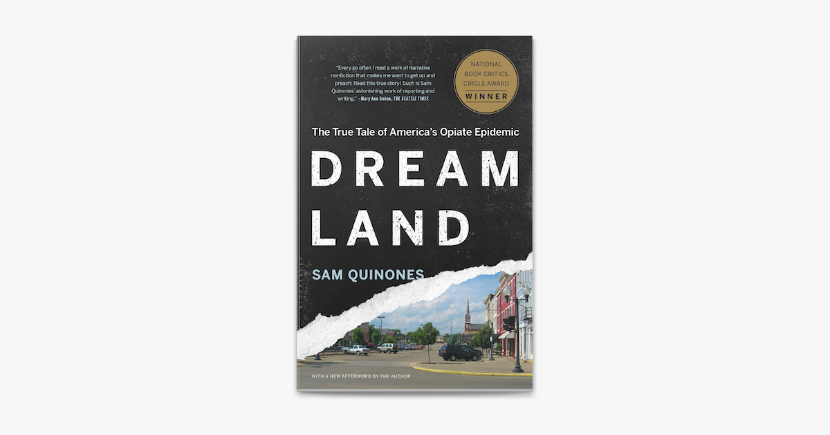 dreamland a novel book review