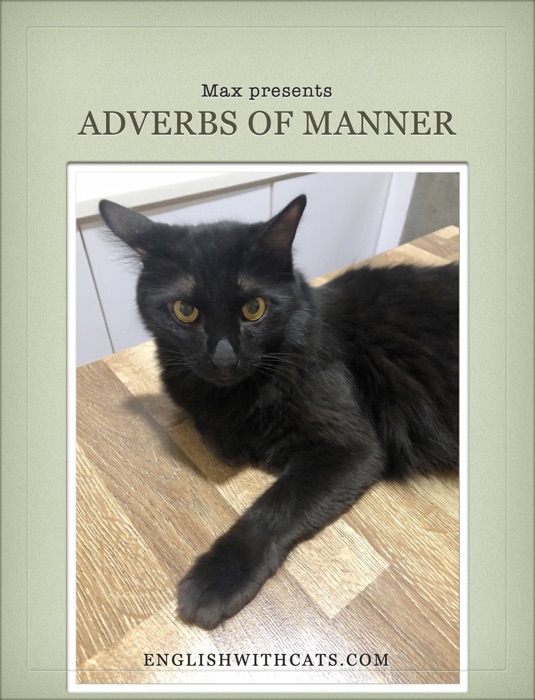 Adverbs of Manner