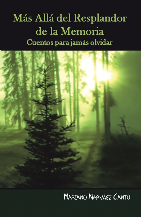 Más Allá Del Resplandor De La Memoria