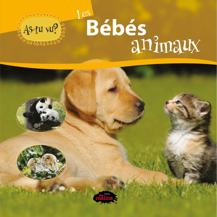 As-tu vu? les bébés animaux