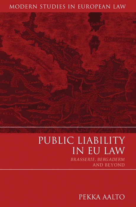 Public Liability in EU Law