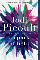 Jodi Picoult - A Spark of Light artwork
