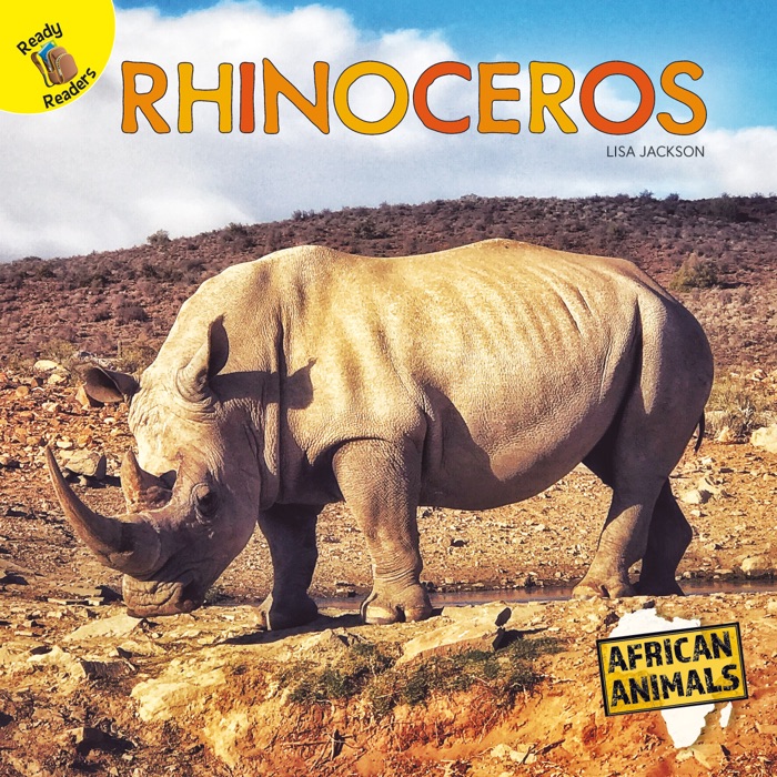 Rhinoceros