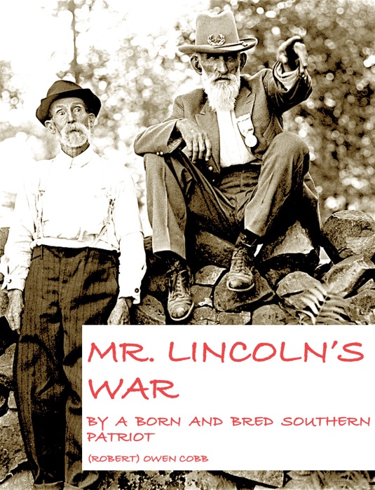 Mr.  Lincoln's War