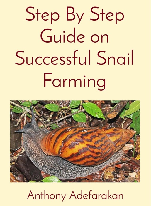 Step By Step Guide on Successful Snail Farming