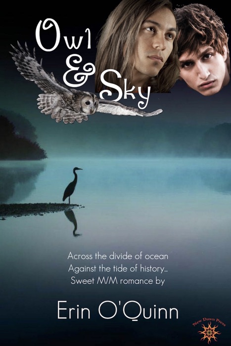 Owl & Sky