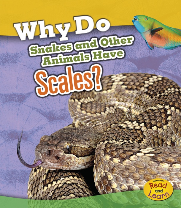 Why Do Snakes and Other Animals Have Scales?