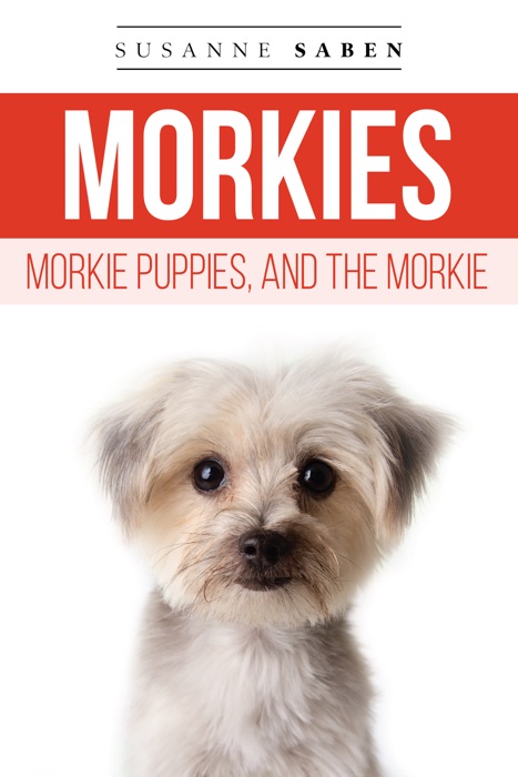Morkies, Morkie Puppies, and the Morkie