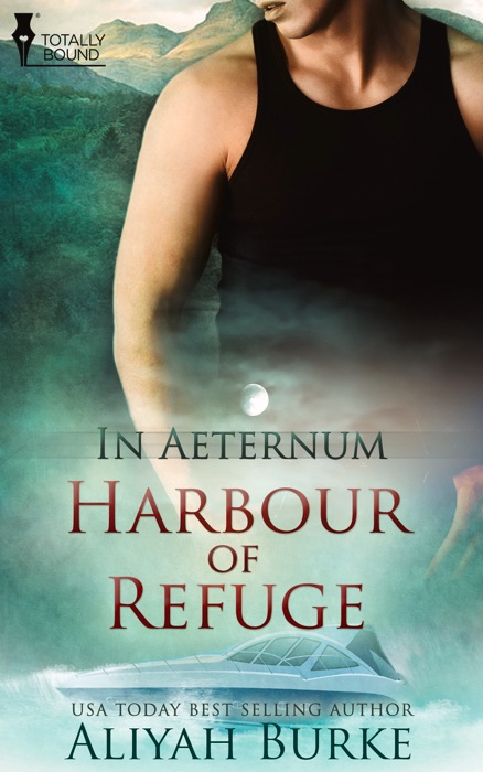 Harbour of Refuge
