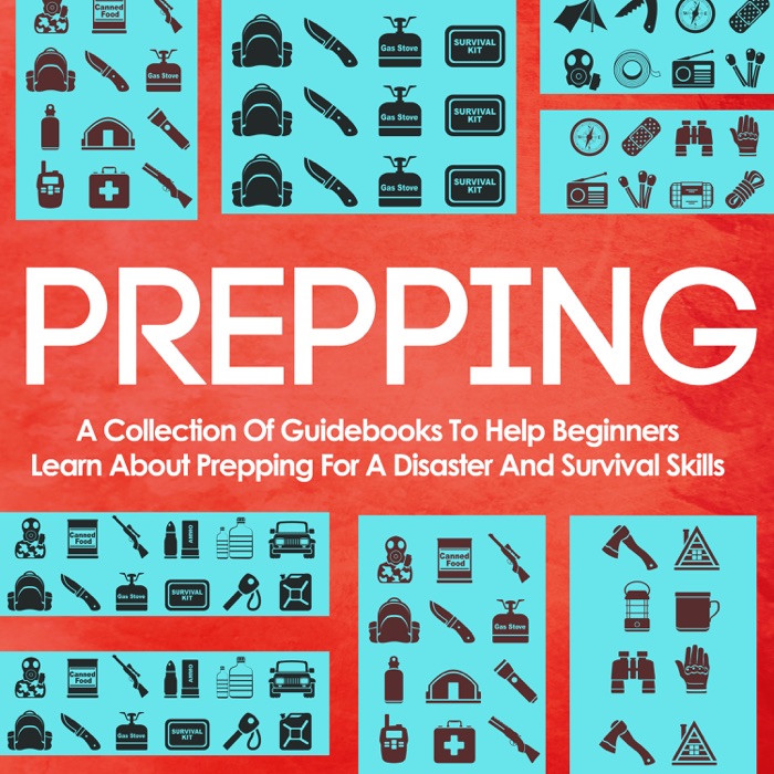 Prepping: A Collection Of Guidebooks To Help Beginners Learn About Prepping For A Disaster And Survival Skills