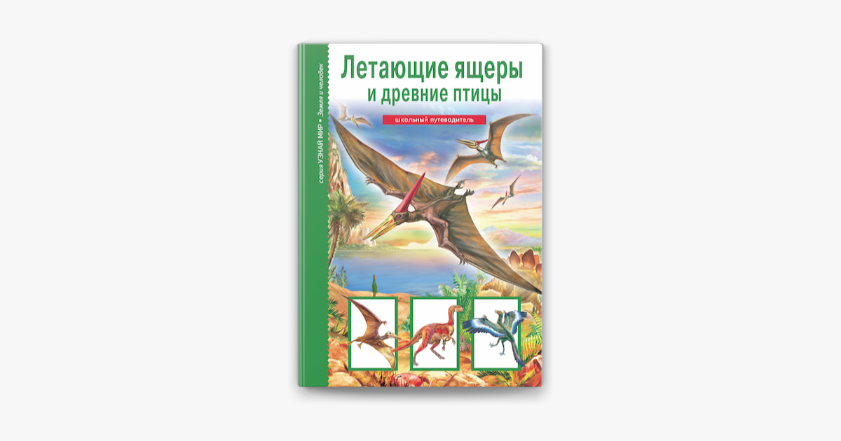 Летающие ящеры и древние птицы. Древние летающие ящеры лэпбук. Птицы зеленой книги. Книга птицы школьный путеводитель.