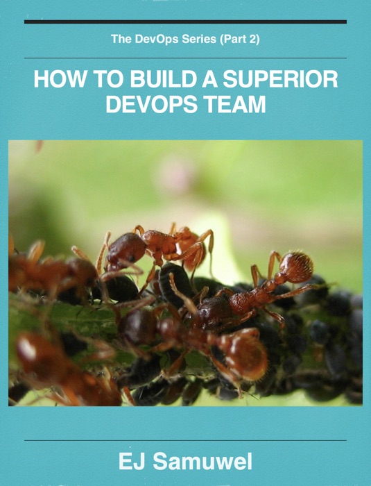 HOW TO BUILD A SUPERIOR DEVOPS TEAM