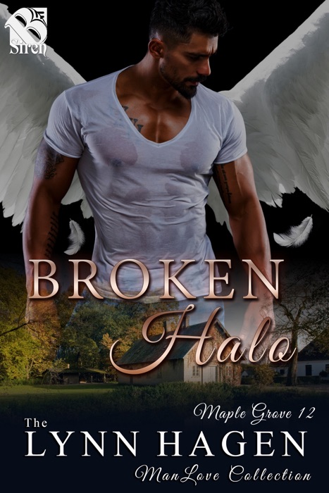 Broken Halo (Maple Grove 12)