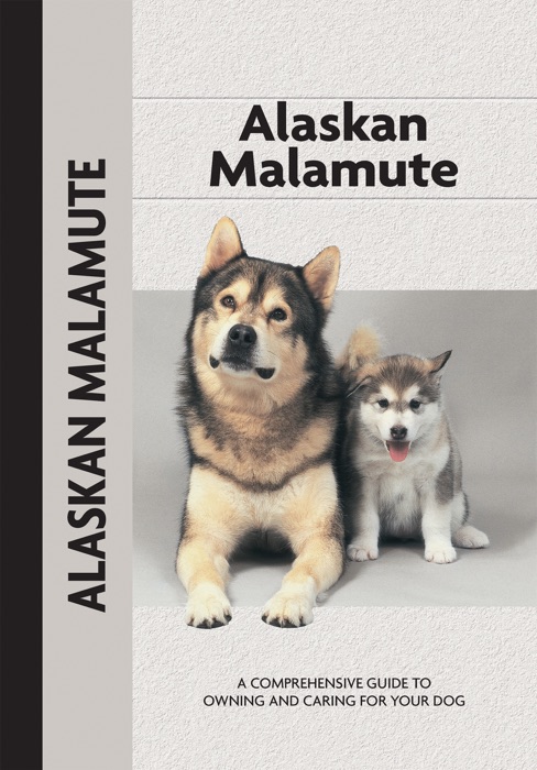 Alaskan Malamute