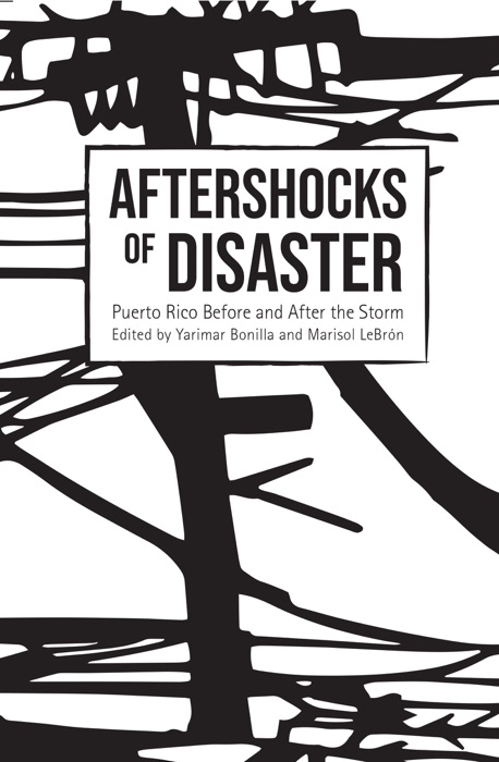 Aftershocks of Disaster