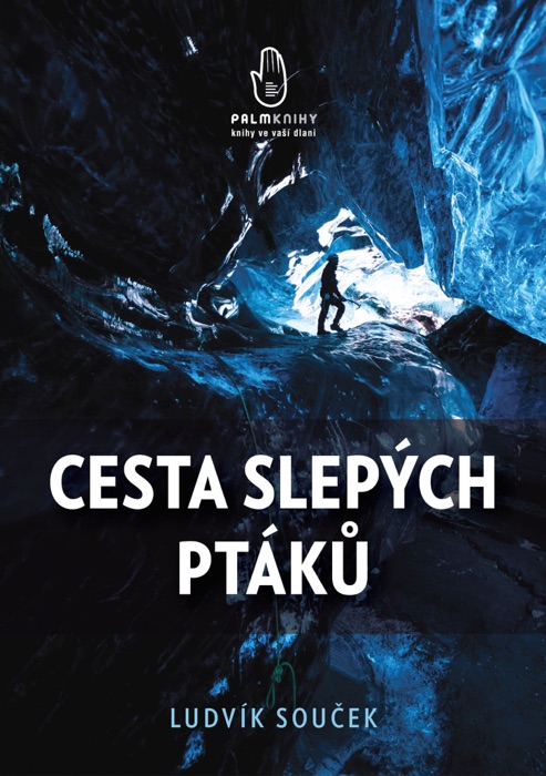 Cesta slepých ptáků