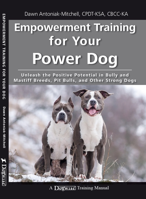 Empowerment Training for Your Power Dog